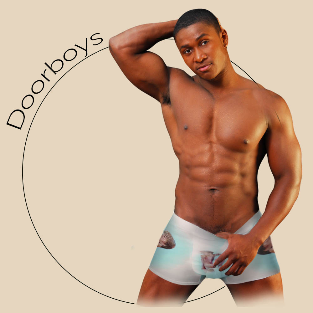 img Designers Boxer Briefs