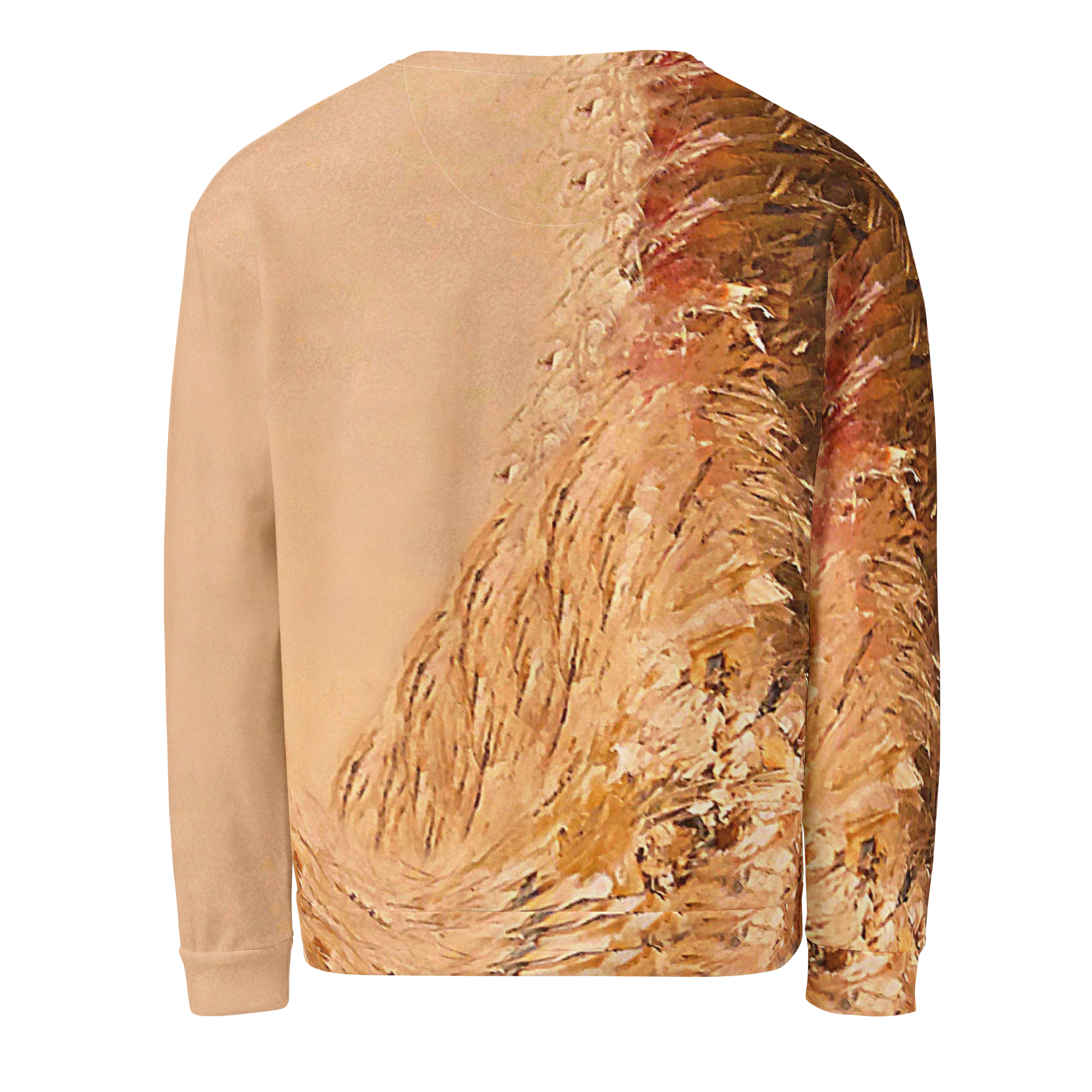 img sweatshirt back