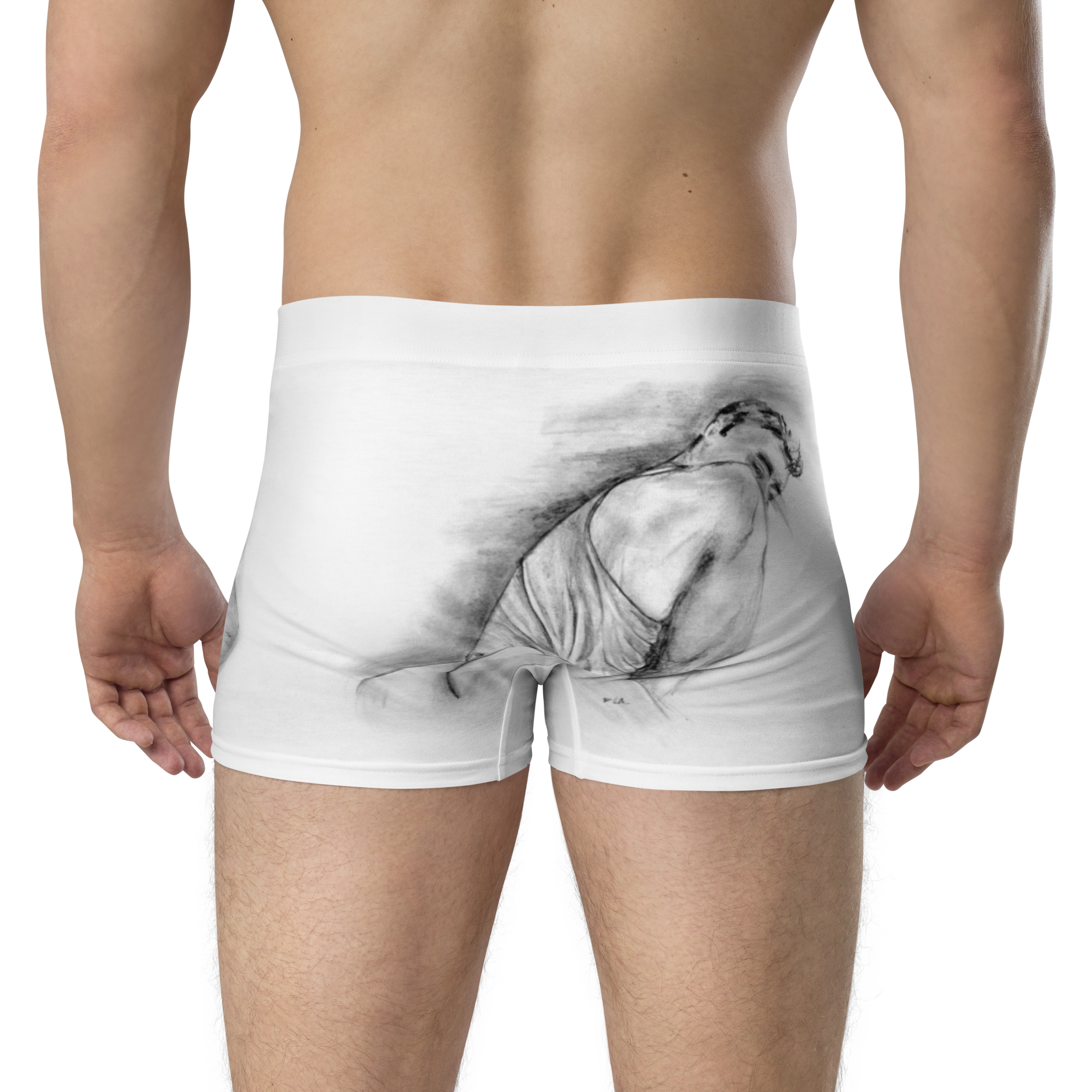 img Boxer Briefs back